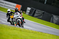 PJ-Motorsport-2019;anglesey;brands-hatch;cadwell-park;croft;donington-park;enduro-digital-images;event-digital-images;eventdigitalimages;mallory;no-limits;oulton-park;peter-wileman-photography;racing-digital-images;silverstone;snetterton;trackday-digital-images;trackday-photos;vmcc-banbury-run;welsh-2-day-enduro
